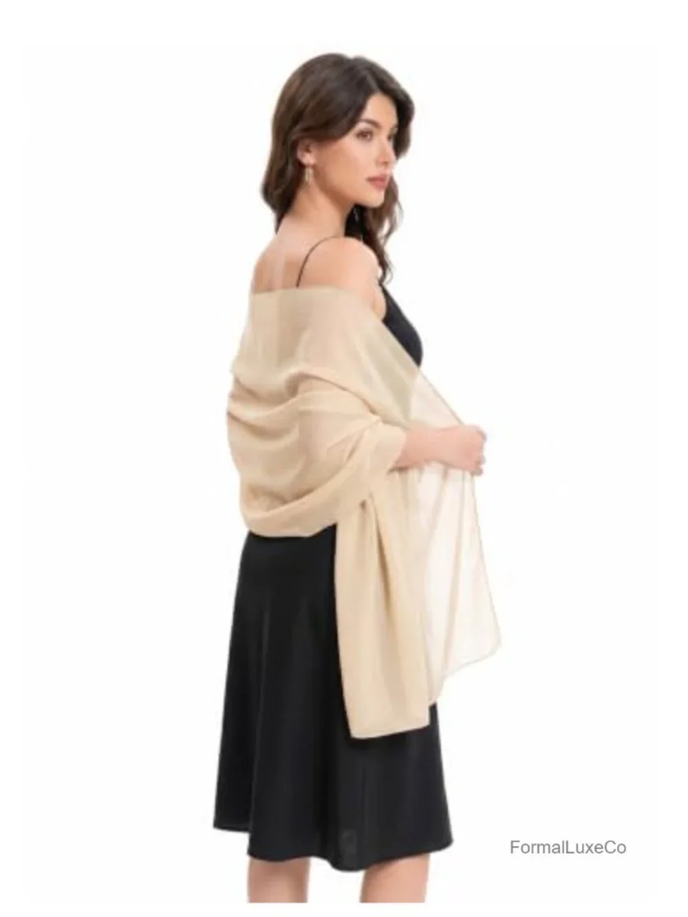 Chiffon Shawl Wrap for Evening Dress Wedding Bridal Scarf Pashmina